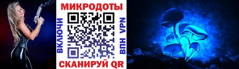 Псилоцибиновые грибы мухоморы наркотики Сорск